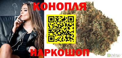 стафф Гай