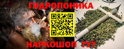 кокс Гатчина