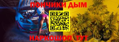 кокс Гатчина