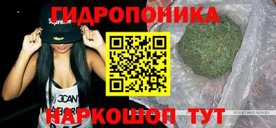 стафф Гай
