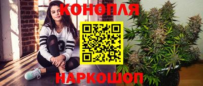 кокс Гатчина