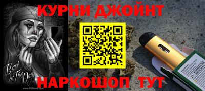 стафф Гай