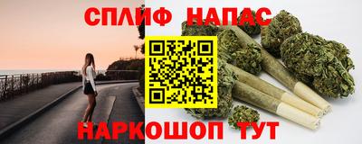 стафф Гай