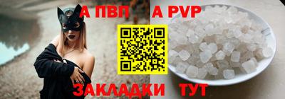 стафф Гай